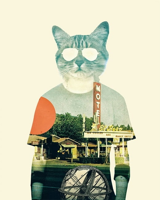 Cool Cat Paint By Numbers