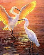 Cranes In Pond Paint By Numbers