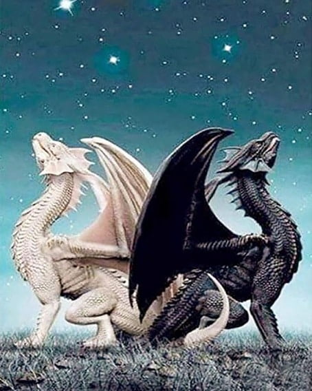 Dragons Twin Paint By Numbers