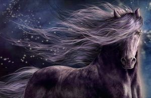 Fantasy Horse Paint By Numbers