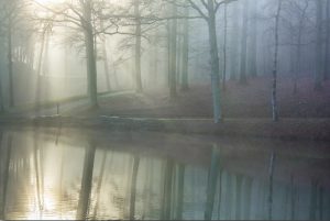 Forest River Paint By Numbers