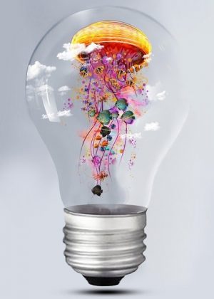 Electric Jellyfish Animals Paint By Numbers