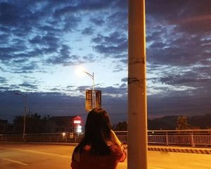 Evening Walk In My Neighbor Cities Paint By Numbers