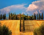Tuscany Farm Paint By Numbers