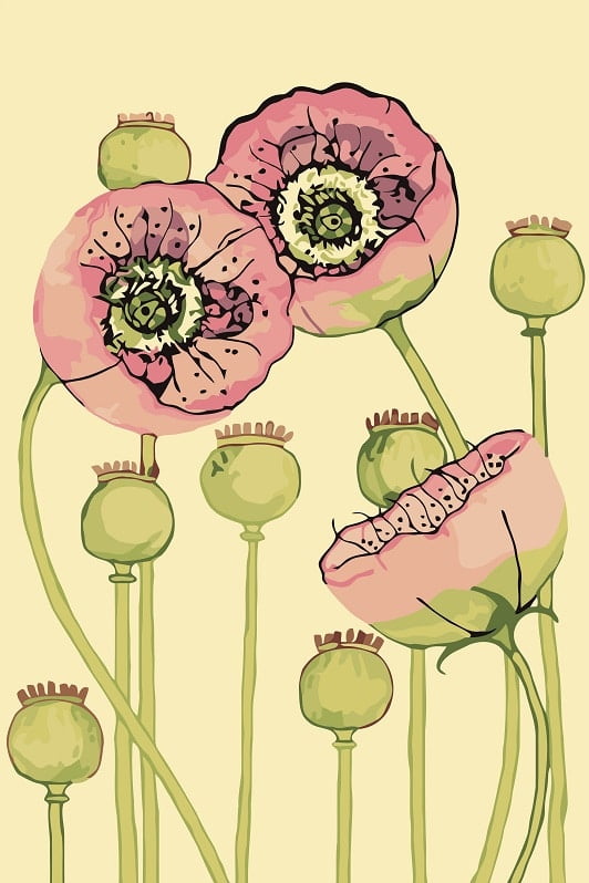 Ladybird Poppies Paint By Numbers