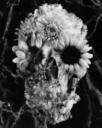 Black And White Floral Skull Paint By Numbers