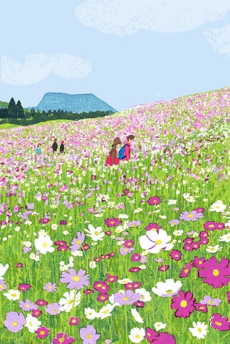 Flowers Field Paint By Numbers