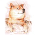 Sleepy Shiba Inu paint by numbers