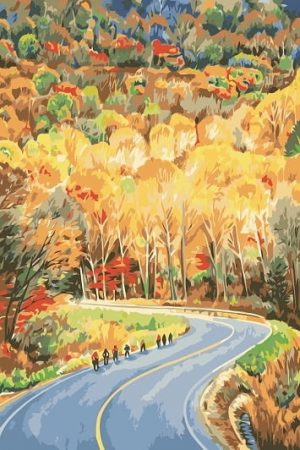 Forest Freeway Paint By Numbers