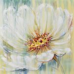White Blooming Poppy Paint By Numbers