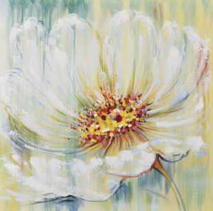 White Blooming Poppy Paint By Numbers