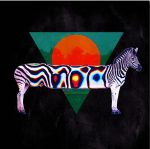 Funky Zebra Animals Paint By Numbers