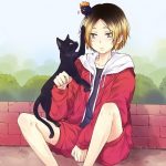 Kenma Kozume Paint By Numbers