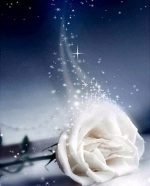 Magical White Rose Paint By Numbers