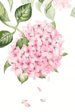 Pink Hydrangea Paint By Numbers