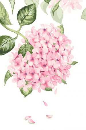 Pink Hydrangea Paint By Numbers