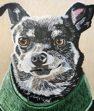 Chihuahua Dog Paint By Numbers