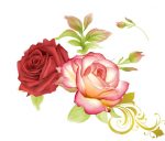 Blooming Roses Paint By Numbers