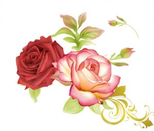 Blooming Roses Paint By Numbers