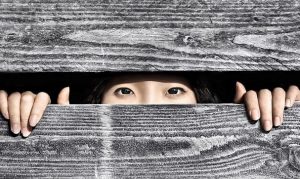 Hidden Girl Paint By Numbers