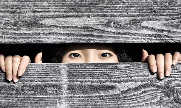 Hidden Girl Paint By Numbers