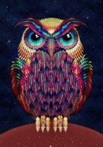 Colorful Owl Paint By Numbers