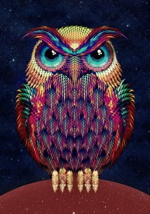 Colorful Owl Paint By Numbers