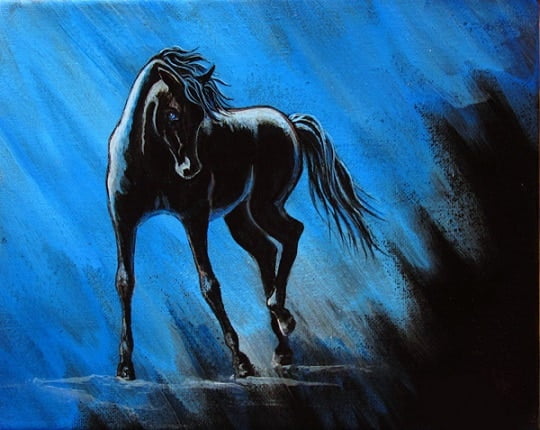 Black Horse Paint By Numbers