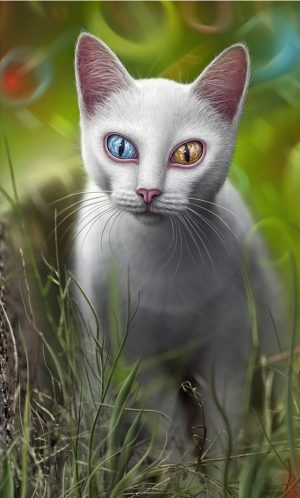 Odd Eyed Cat Paint By Numbers
