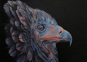 Insomniac Bird Birds Paint By Numbers