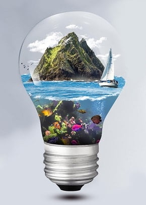 Bulb Island Paint By Numbers