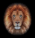 Circles Lion Paint By Numbers