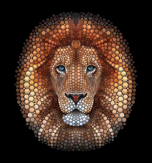 Circles Lion Paint By Numbers