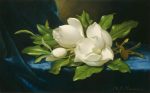 Magnolias On A Blue Velvet Cloth Paint By Numbers