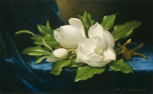 Magnolias On A Blue Velvet Cloth Paint By Numbers