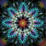 Flower Mandala Paint By Numbers