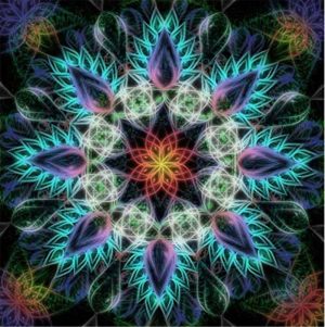 Flower Mandala Paint By Numbers