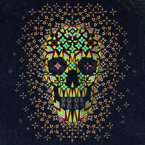 Mandala Skull Paint By Numbers