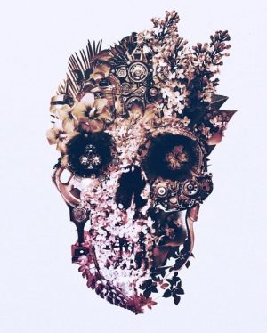 Metamorphosis Skull Paint By Numbers