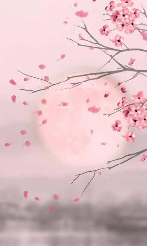 Cherry Blossom Branch Paint By Numbers