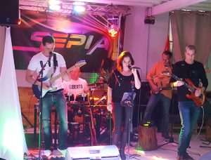 Musical Performance Paint By Numbers