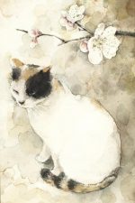 White Cat Paint By Numbers