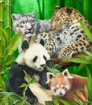 Wild Animals Paint By Numbers