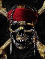 Pirate Skull Paint By Numbers