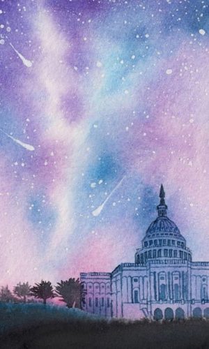 United States Capitol Paint By Numbers