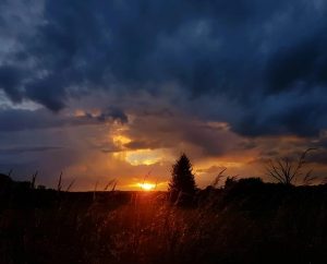 Sunset View Paint By Numbers