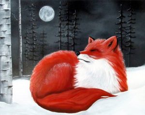 Red Fox In Snow Paint By Numbers