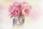 Peonies In Glass Paint By Numbers