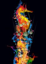 Seahorse Animals Paint By Numbers