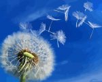 Dandelion Seed Paint By Numbers
